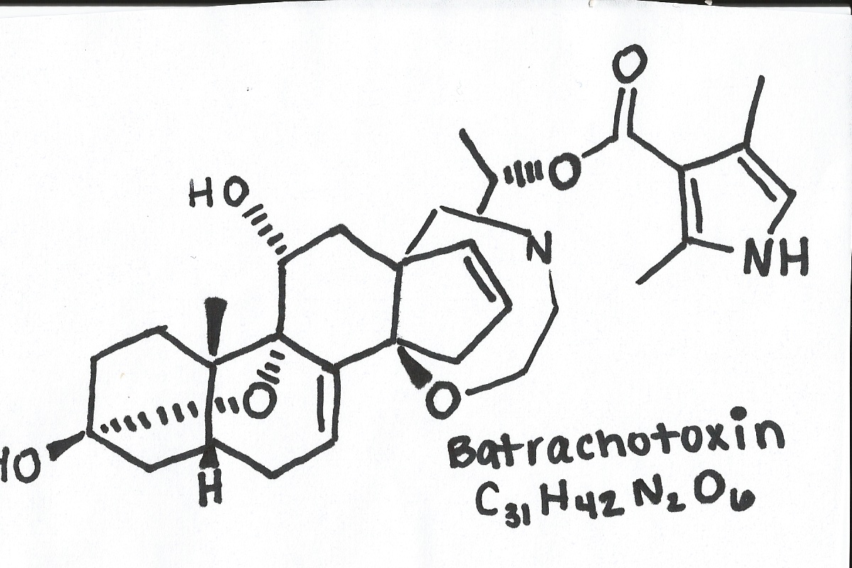 Batrachotoxin Structure