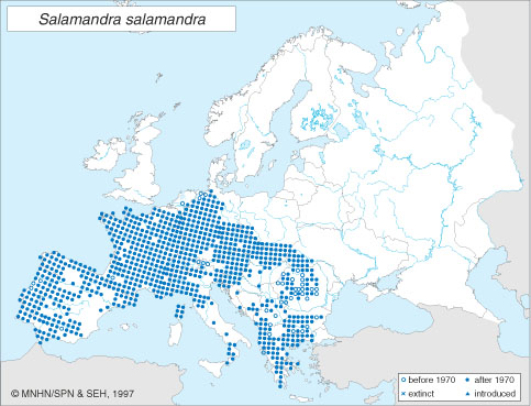 Atlas of Amphibians and Reptiles in Europe.(1997). Citation for SEH Atlas map:Gasc, J. P. , Cabela, A., Crnobrnja-Isailovic, J., Dolmen, D., Grossenbacher,K., Haffner, P., Lescure, J., Martens, H., Martinez Rica, J. P.,Maurin, H., Oliveira, via AmphibiaWeb