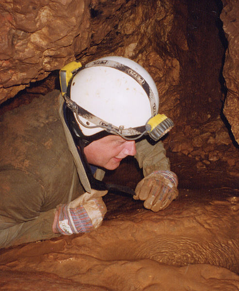 Caver: Wiki Commons