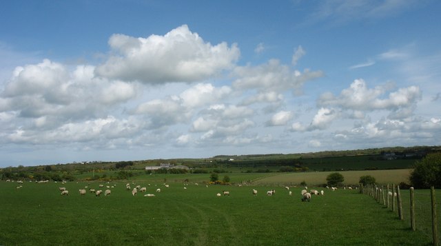 Sheep's Pasture at Llanllibio Groes (Courtesy of Eric Jones)