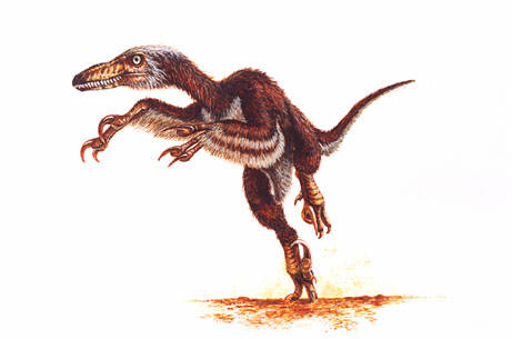 Drawing of what V. mongoliensis might have looked like