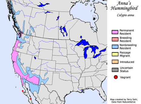 Geographic Location Inhabited by Anna's Hummingbird, Map Provided by Terry Sohl.