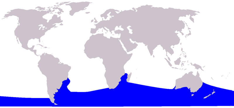 Global distribution of Southern Right Whale from Nature Picture Library