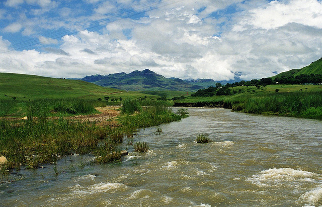 Rushing River- Onchocerca Habitat in South Africa