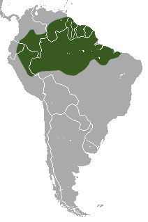 Habitat of Linnaeus's two-toed sloth. From Wikipedia, for educational purposes only.