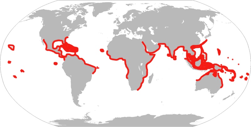 Ray habitat map. Image found at wikimedia.org