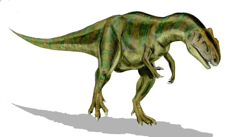 Artistic Allosaurus representation