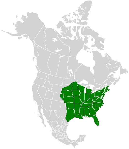 Map showing Papilio  glaucus range