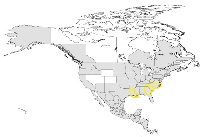 This picture shows the states which Daedalochila postelliana calls home.  Picture used with permission from Dr. Perez athttp://www.uwlax.edu/biology/faculty/perez/Perez/PerezLab/Research/Publications/