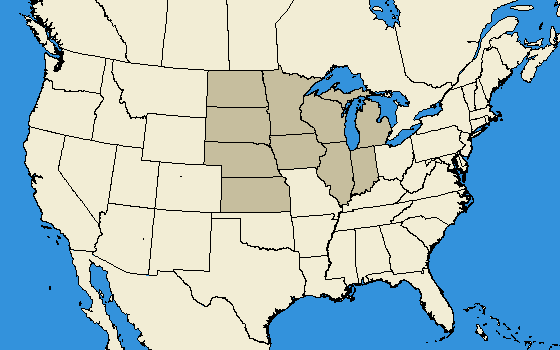 Map displaying the habitat (indicated by the dark grey) of this robberfly