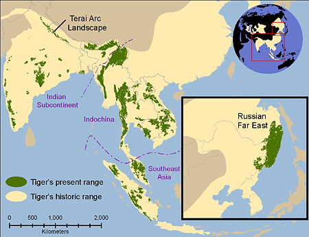 bengal tiger habitat map