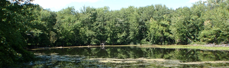 Header image courtsey of Wisconsin DNR