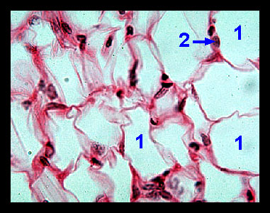 Lab_1b-13a