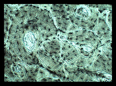 Lab_1b-14a