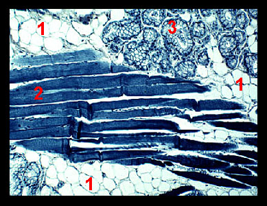 Lab_1b-18a