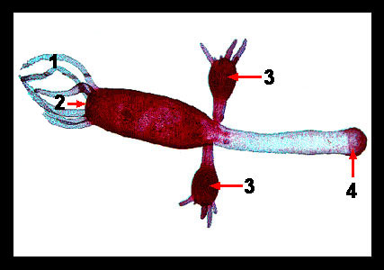 Lab_3b-07b