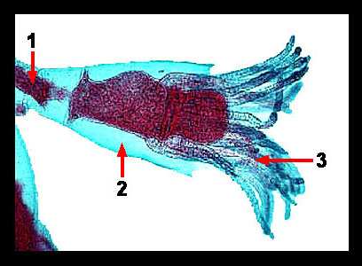 Lab_3b-11b