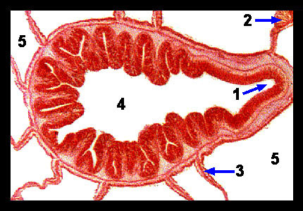 Lab_3b-14b