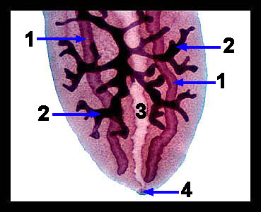 Lab_4b-08a