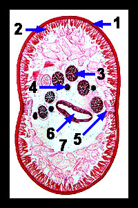 Lab_4b-16a