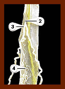 Lab_4b-48b