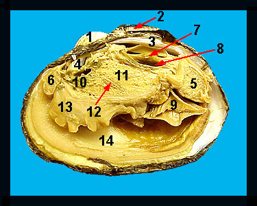 Lab_5b-14a