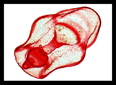 Lab_8b-02a