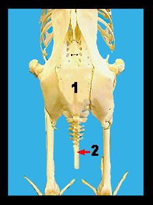 Lab_9b-33a