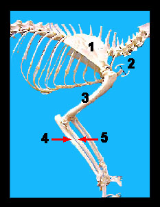 Lab_9b-36a